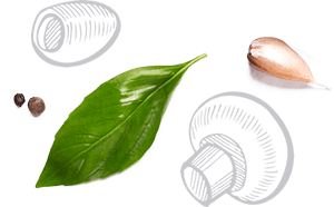 Donnelli's Pizzeria Donnelli's Pizzeria