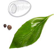 Donnelli's Pizzeria Donnelli's Pizzeria